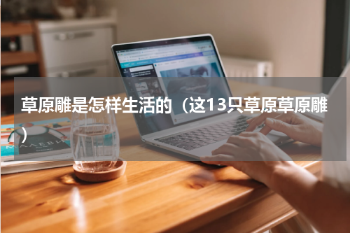 草原雕是怎样生活的（这13只草原草原雕）