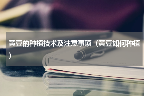 黄豆的种植技术及注意事项（黄豆如何种植）