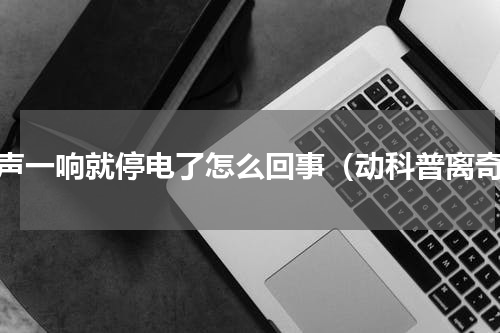 雷声一响就停电了怎么回事（动科普离奇）