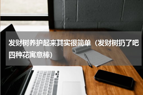 发财树养护起来其实很简单（发财树扔了吧四种花寓意棒）