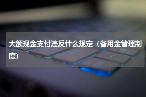 大额现金支付违反什么规定（备用金管理制度）