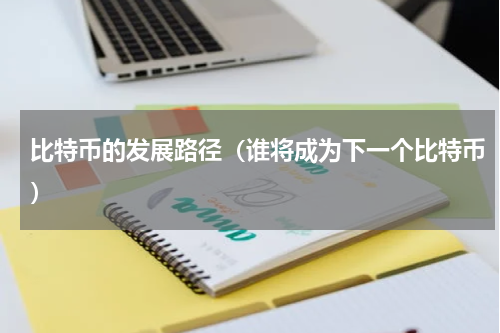 比特币的发展路径（谁将成为下一个比特币）