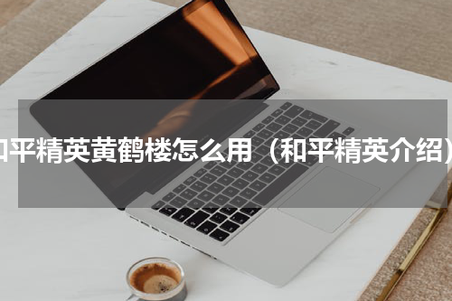 和平精英黄鹤楼怎么用（和平精英介绍）