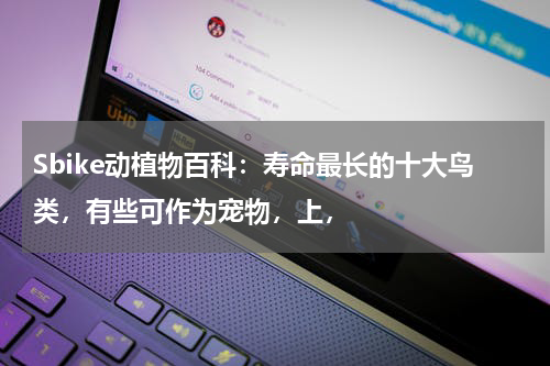 Sbike动植物百科：寿命最长的十大鸟类，有些可作为宠物，上，