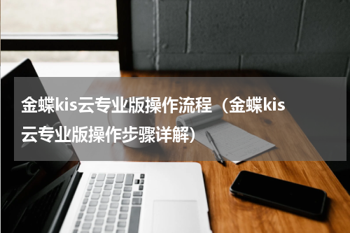 金蝶kis云专业版操作流程（金蝶kis云专业版操作步骤详解）