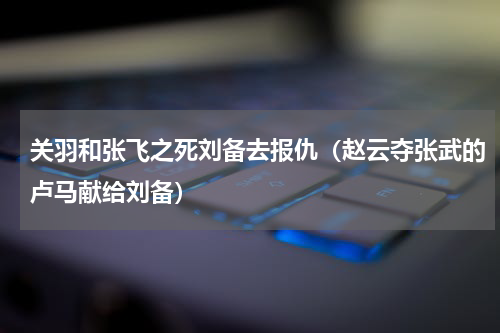 关羽和张飞之死刘备去报仇（赵云夺张武的卢马献给刘备）