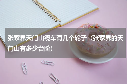 张家界天门山缆车有几个轮子（张家界的天门山有多少台阶）