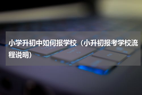 小学升初中如何报学校（小升初报考学校流程说明）