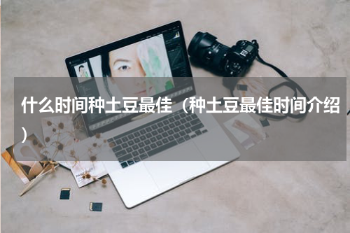 什么时间种土豆最佳（种土豆最佳时间介绍）