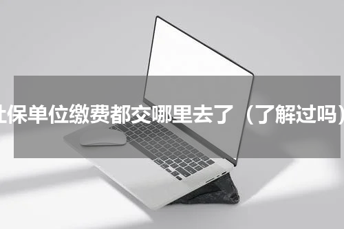 社保单位缴费都交哪里去了（了解过吗）