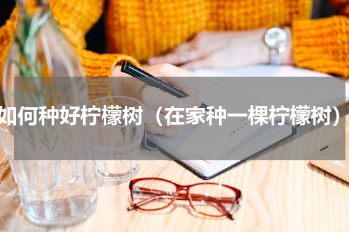 如何种好柠檬树（在家种一棵柠檬树）
