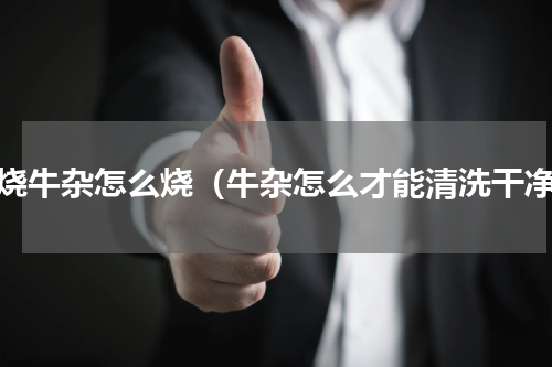 红烧牛杂怎么烧（牛杂怎么才能清洗干净）