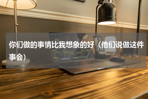 你们做的事情比我想象的好（他们说做这件事会）