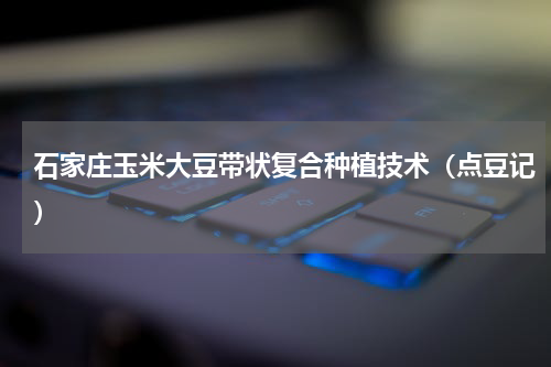 石家庄玉米大豆带状复合种植技术（点豆记）