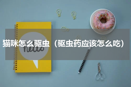 猫咪怎么驱虫（驱虫药应该怎么吃）
