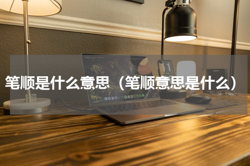 笔顺是什么意思（笔顺意思是什么）