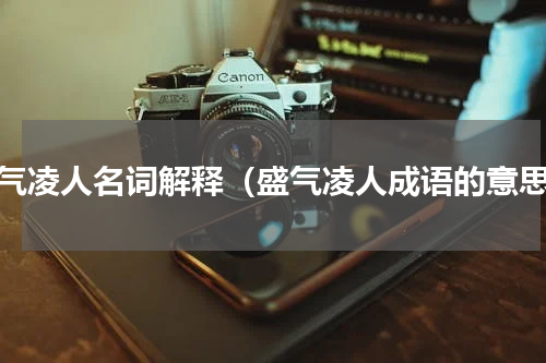 盛气凌人名词解释（盛气凌人成语的意思）