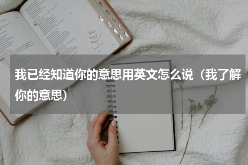 我已经知道你的意思用英文怎么说（我了解你的意思）