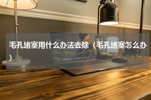 毛孔堵塞用什么办法去除（毛孔堵塞怎么办）