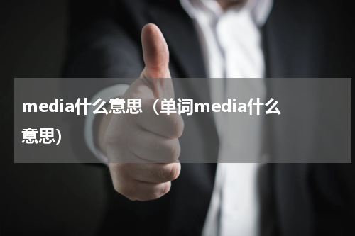 media什么意思（单词media什么意思）