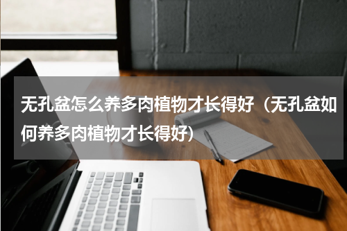 无孔盆怎么养多肉植物才长得好（无孔盆如何养多肉植物才长得好）