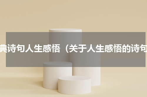 经典诗句人生感悟（关于人生感悟的诗句）