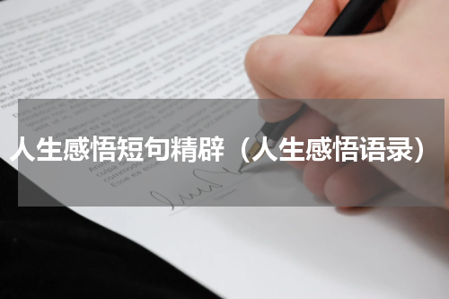 人生感悟短句精辟（人生感悟语录）