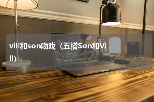 vill和son吻戏（五搭Son和Vill）