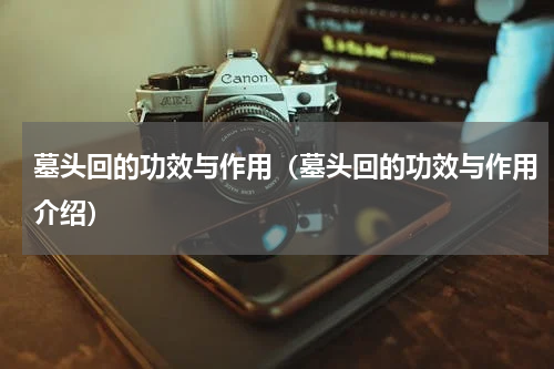 墓头回的功效与作用（墓头回的功效与作用介绍）