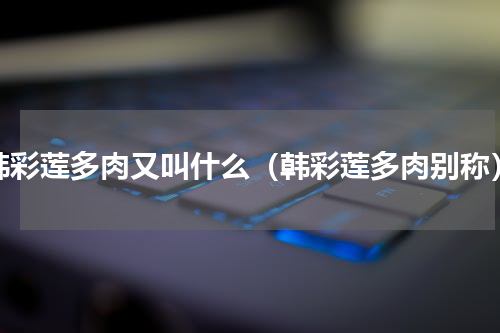 韩彩莲多肉又叫什么（韩彩莲多肉别称）