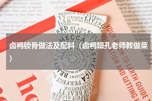 卤鸭锁骨做法及配料（卤鸭翅孔老师教做菜）