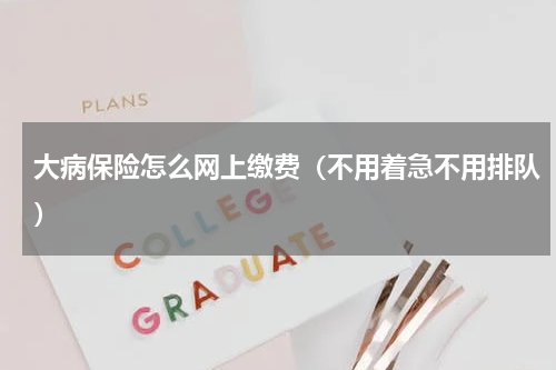 大病保险怎么网上缴费（不用着急不用排队）