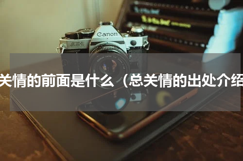 总关情的前面是什么（总关情的出处介绍）