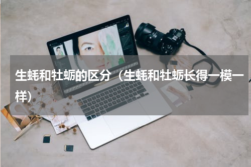生蚝和牡蛎的区分（生蚝和牡蛎长得一模一样）