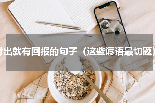 付出就有回报的句子（这些谚语最切题）