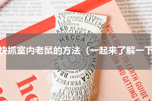 最快抓室内老鼠的方法（一起来了解一下）