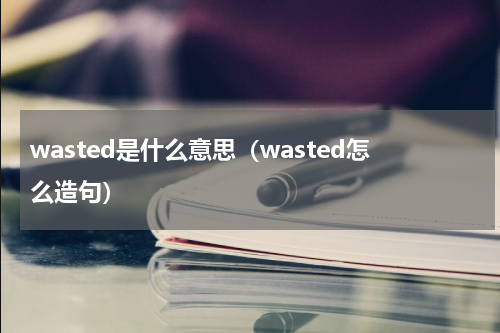 wasted是什么意思（wasted怎么造句）