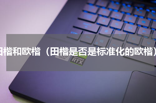 田楷和欧楷（田楷是否是标准化的欧楷）