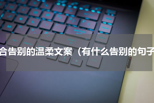 适合告别的温柔文案（有什么告别的句子）
