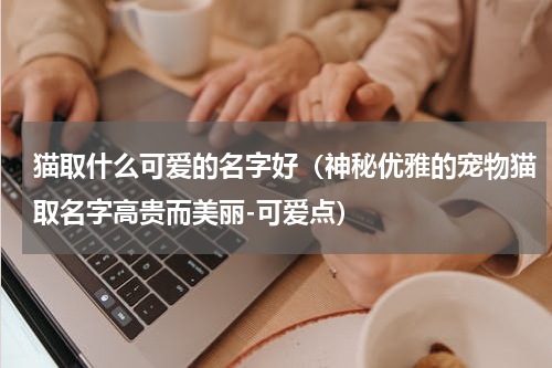 猫取什么可爱的名字好（神秘优雅的宠物猫取名字高贵而美丽-可爱点）