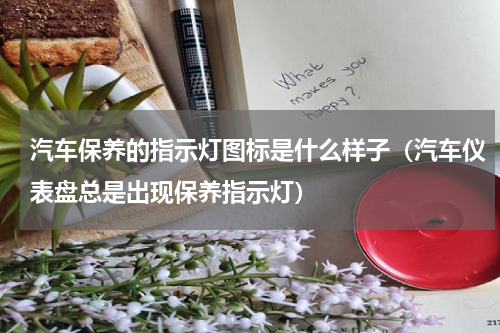 汽车保养的指示灯图标是什么样子（汽车仪表盘总是出现保养指示灯）