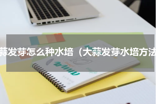 大蒜发芽怎么种水培（大蒜发芽水培方法）
