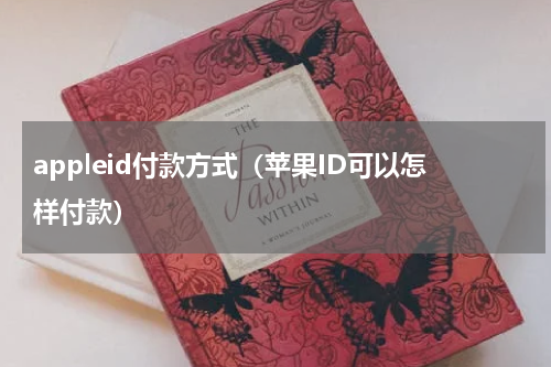 appleid付款方式（苹果ID可以怎样付款）