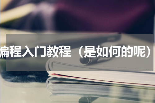 编程入门教程（是如何的呢）