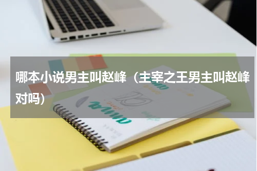 哪本小说男主叫赵峰（主宰之王男主叫赵峰对吗）