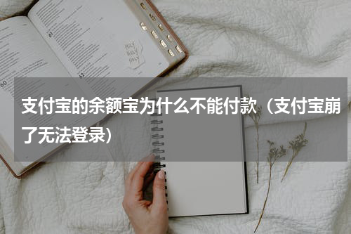 支付宝的余额宝为什么不能付款（支付宝崩了无法登录）
