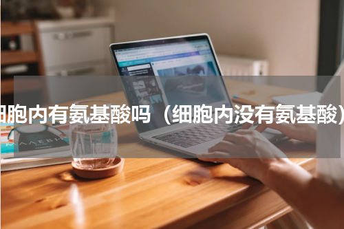 细胞内有氨基酸吗（细胞内没有氨基酸）
