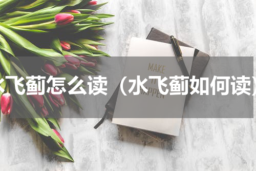 水飞蓟怎么读（水飞蓟如何读）