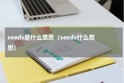 seeds是什么意思（seeds什么意思）