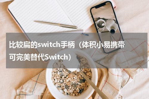 比较扁的switch手柄（体积小易携带可完美替代Switch）